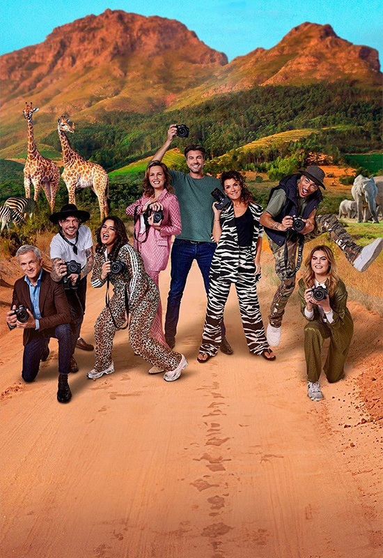 Het perfecte plaatje